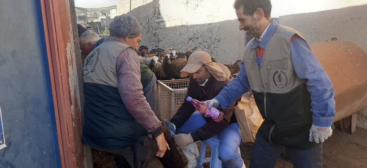 بیش از ۶ هزار واکسیناسیون طیور و ۸۷ بازدید بهداشتی در مهرماه